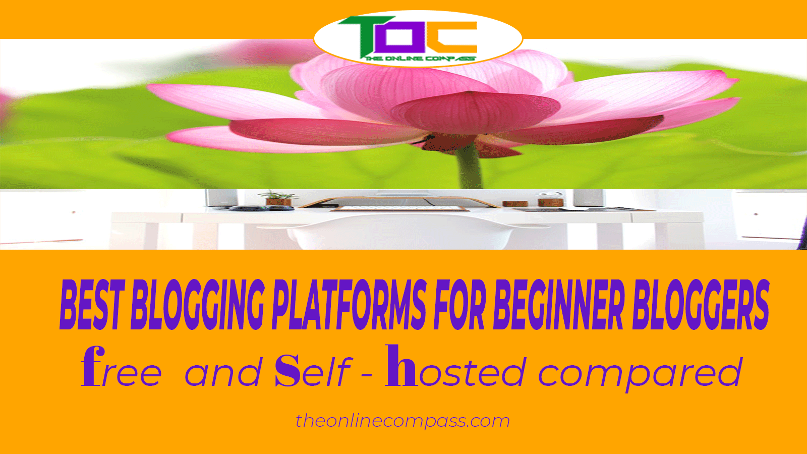 Best blogging platforms: Free or self hosted sites