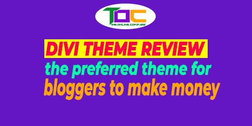  divi theme review