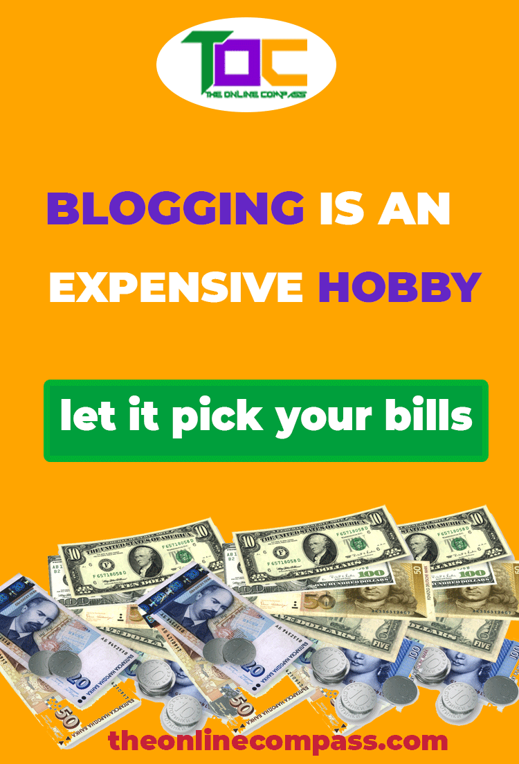 Blogging is an expensive hobby